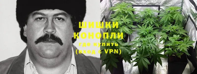 где найти   Новошахтинск  Конопля LSD WEED 